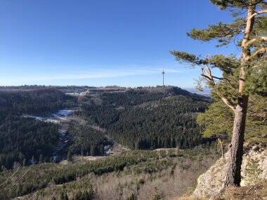 Eine Landschaftsaufnahme zeigt einen bewaldeten Hügel mit einem Sendeturm im Hintergrund unter klarem blauem Himmel.