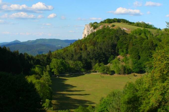 Eine sanfte Hügel- und Waldlandschaft bei Sonnenschein mit einer Felsformation im Hintergrund.