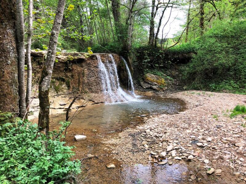 Ein kleiner Wasserfall fließt in einen klaren Teich in einem von Bäumen umgebenen Waldgebiet.